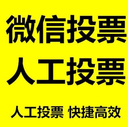 辽阳市微信投票哪个速度快？